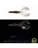 Силикон Kalipso River Craw 4.0" (5шт) 510 BF