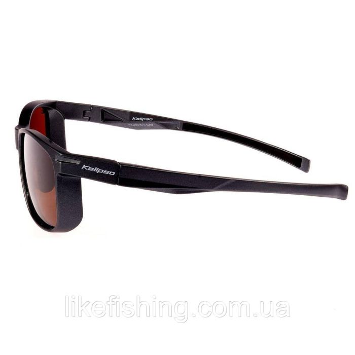 Окуляри Kalipso polarized BR1021MG/BR-C