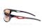 Окуляри Kalipso polarized BR1010SB/BR-B