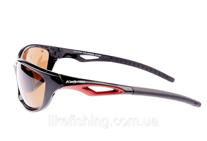 Окуляри Kalipso polarized BR1010SB/BR-B