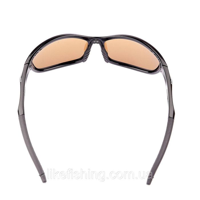 Окуляри Kalipso polarized BR1010SB/BR-B