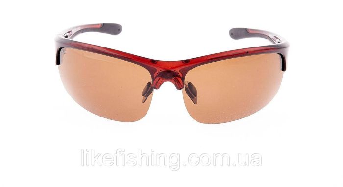 Окуляри Kalipso polarized BR1012SW/BR-C