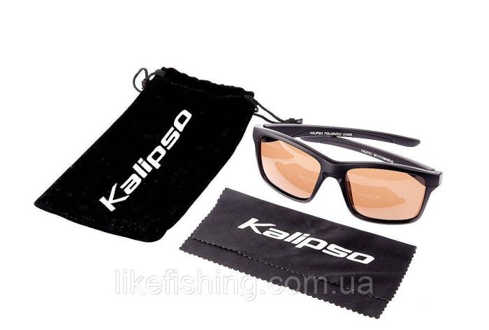 Очки Kalipso polarized BR1017MB/BR-B