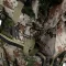 Рюкзак Kalipso Pixel BP-003 50L green