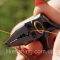 Плоскогубцы GC Mini Split Pliers 8.6см